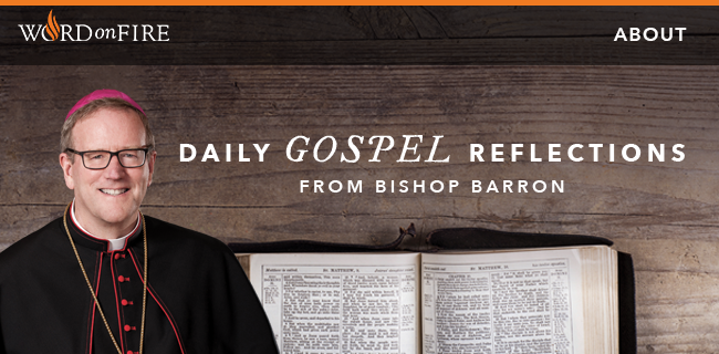 daily gospel reflection